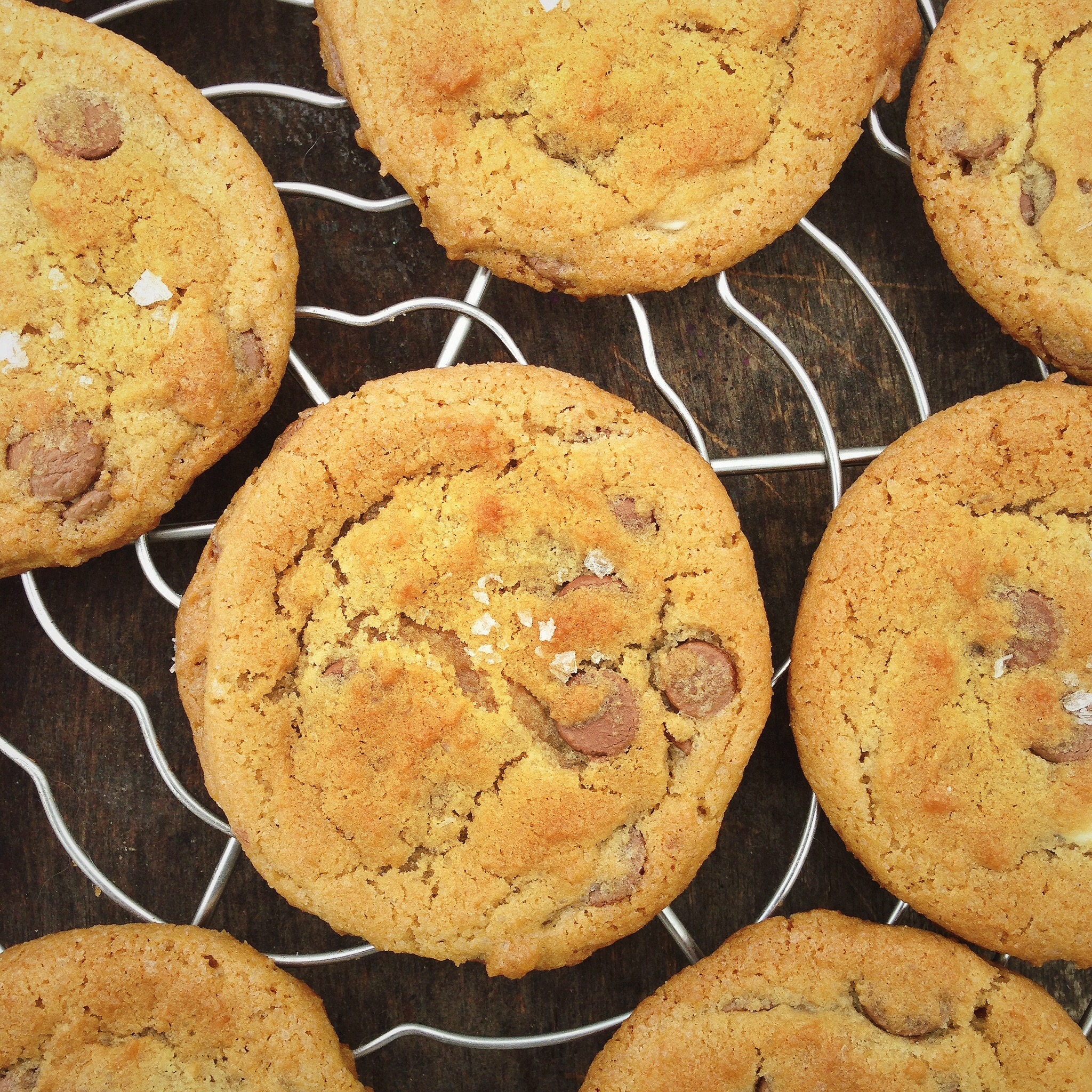 Chocolade chip cookies, by Cookingdom