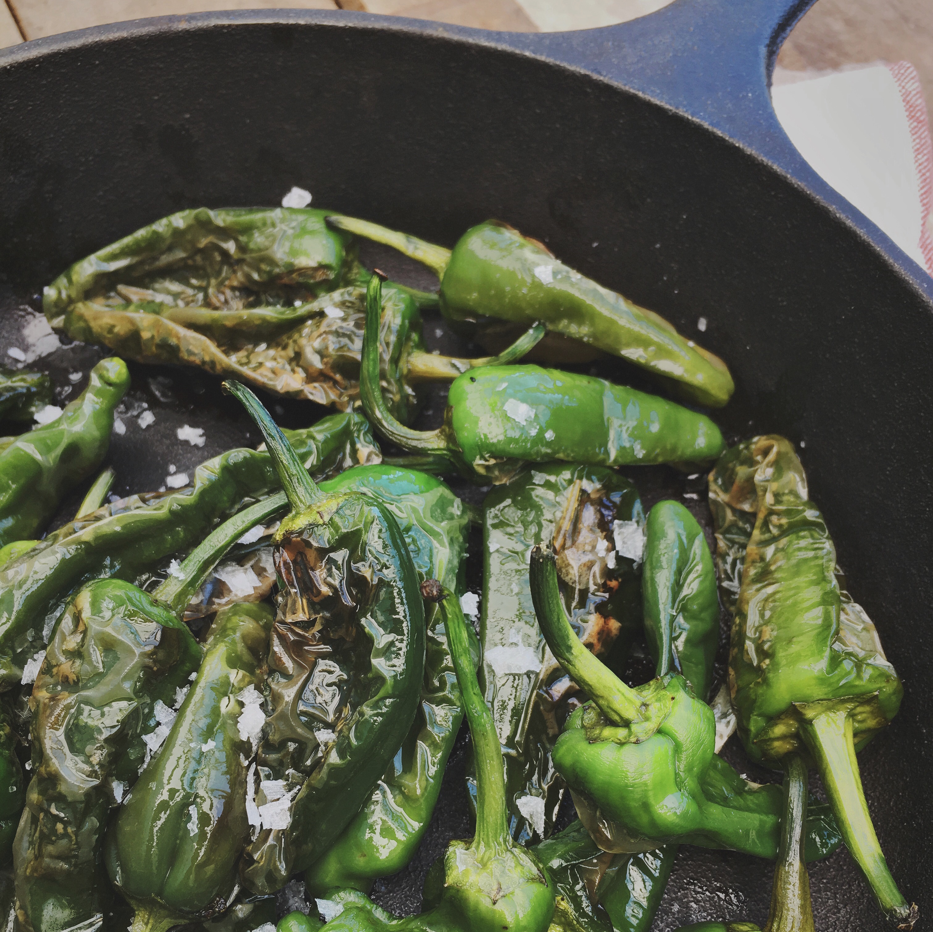 pimientos de padron pepers